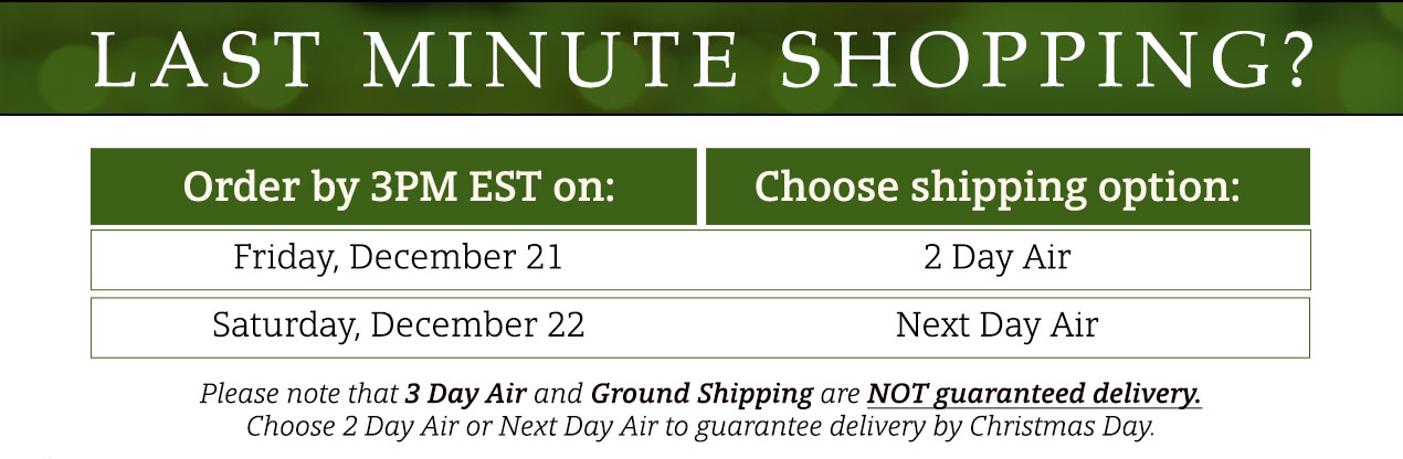Last Minute Holiday Shipping