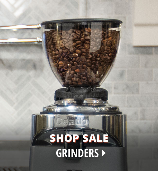 Whole Latte Love Sale Whole Latte Love